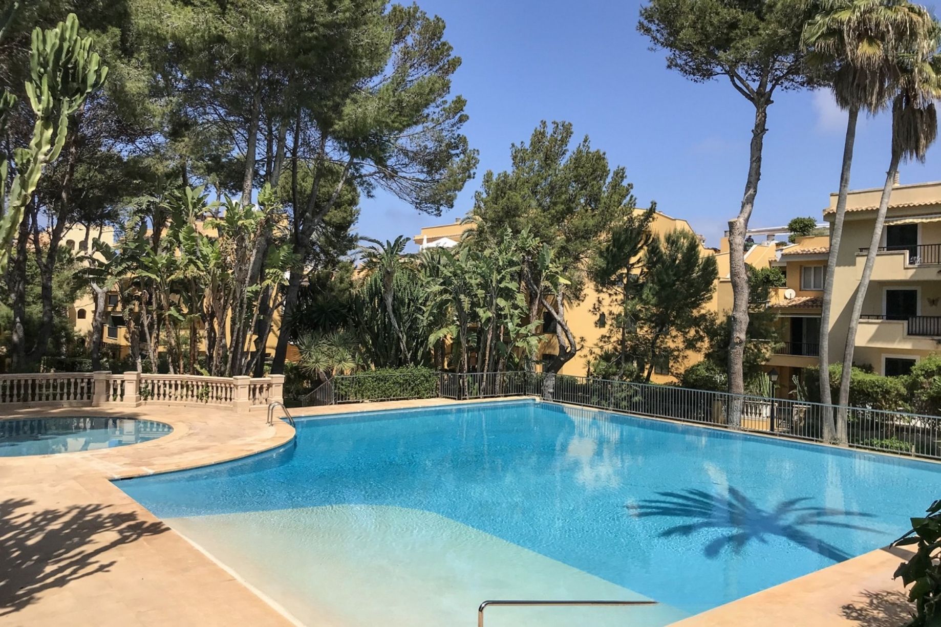 Shared swimming pool and Mediterranean gardens at the Nova Santa Ponsa residence